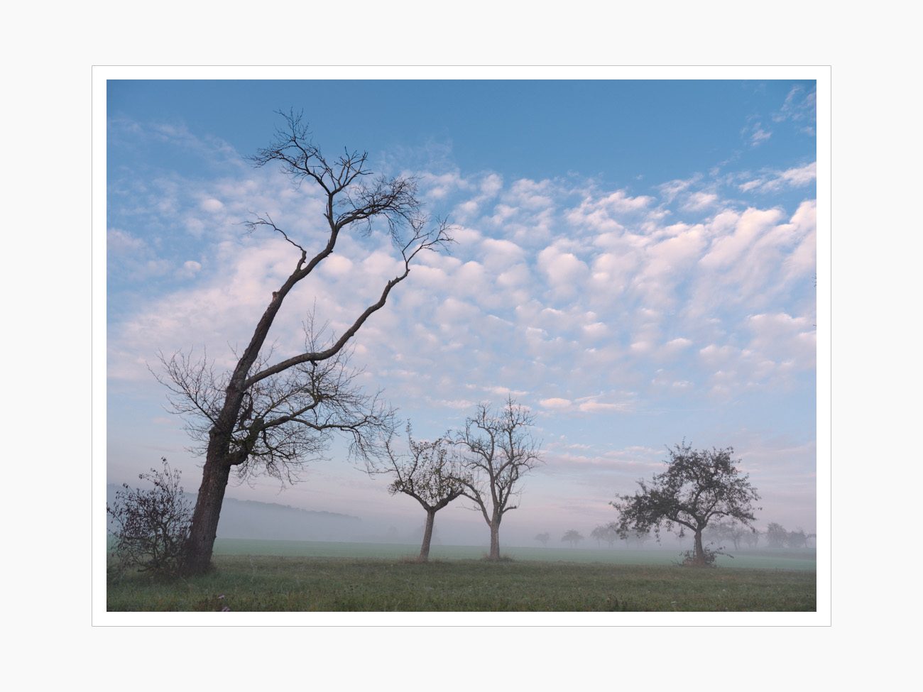 Max Schiefele Alle Bilder  DSF4314